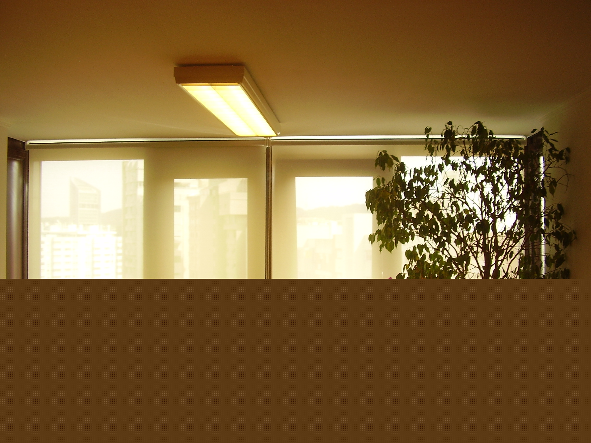 1page_img1